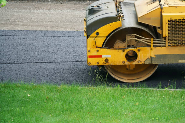 Best Driveway Pavers Near Me  in Warren, MN